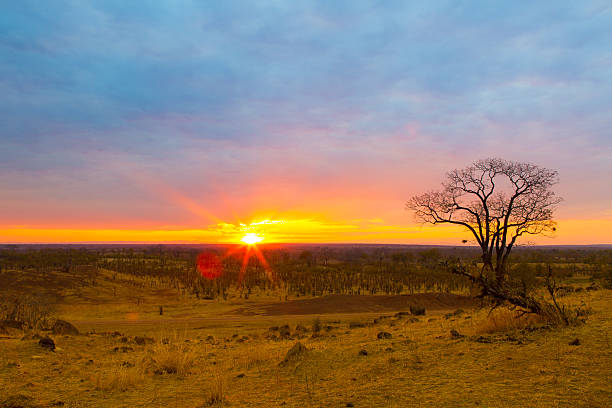 istock sunset in south luangwa 508377193