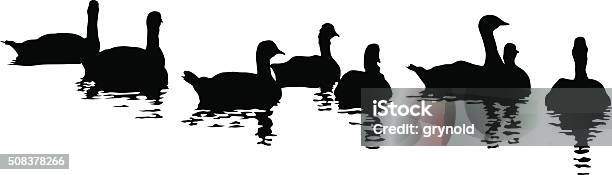 Ducks Stock Illustration - Download Image Now - Duck - Bird, Water, Duck Meat