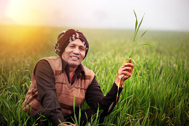 Cheerful Farmer sitting in the Green wheat field wearing traditional clothes & laughing Portrait Outdoor.