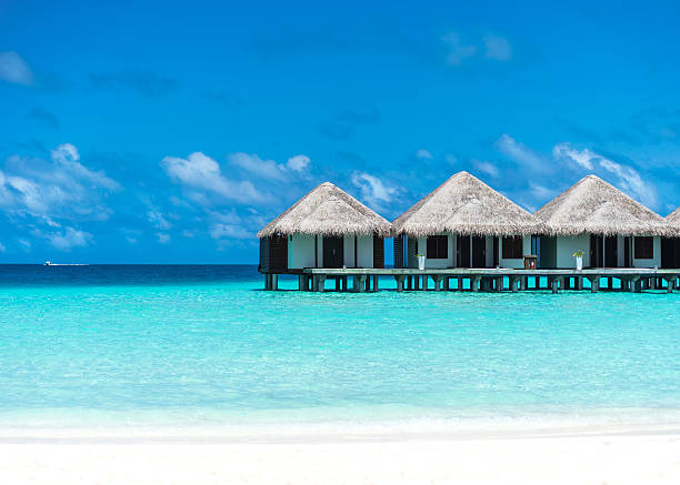 istock Beautiful beach with water bungalows 508379947