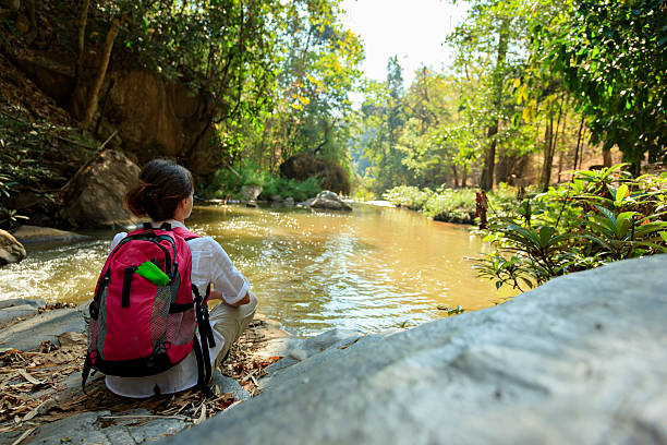 piesze wycieczki w las deszczowy - tropical rainforest thailand root waterfall zdjęcia i obrazy z banku zdjęć