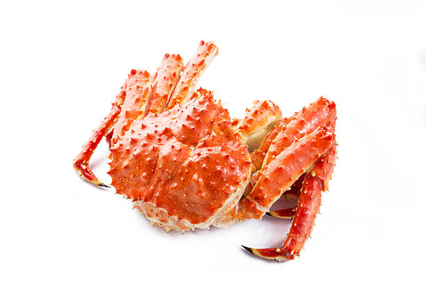 cangrejo rey - alaskan king crab fotografías e imágenes de stock