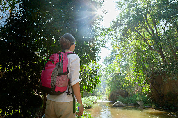 istock Hiking in the rainforest 508382498