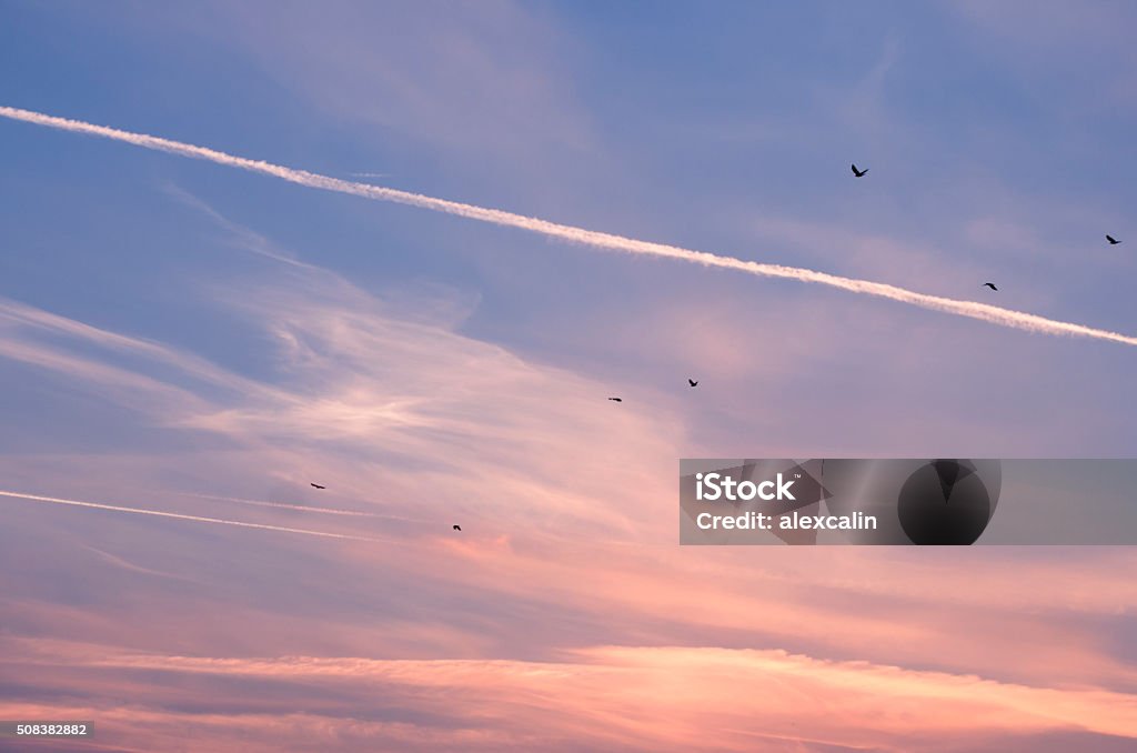 colorful sunset landscape Agriculture Stock Photo