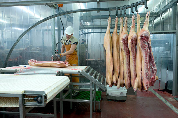 butcher carne de corte en la planta de procesamiento de comida - butcher butchers shop slaughterhouse hook fotografías e imágenes de stock