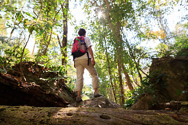 caminando en la selva tropical - tropical rainforest thailand root waterfall fotografías e imágenes de stock