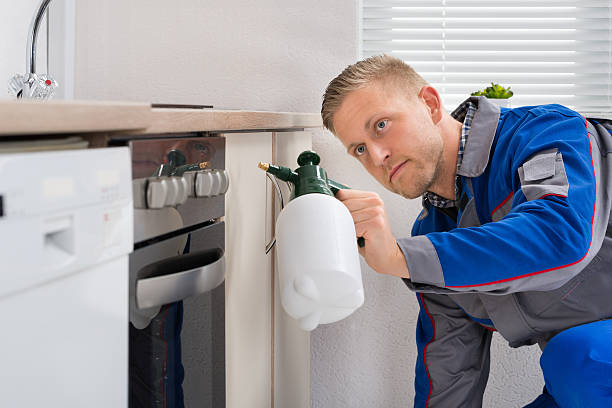 istock Worker With Pesticide Sprayer 508385410