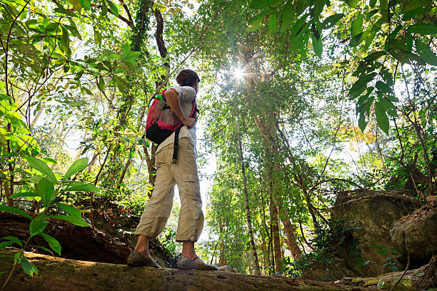 caminando en la selva tropical - tropical rainforest thailand root waterfall fotografías e imágenes de stock