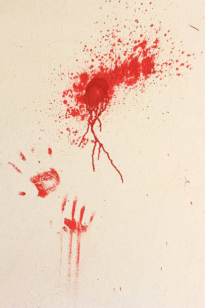 Bloody hands stock photo