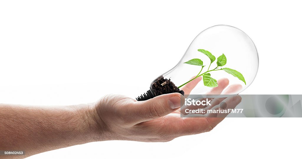 Green energy concept hand with light bulb and sprout, green energy concept  Growth Stock Photo