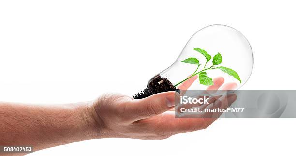 Green Energy Concept Stock Photo - Download Image Now - Growth, Light Bulb, White Background