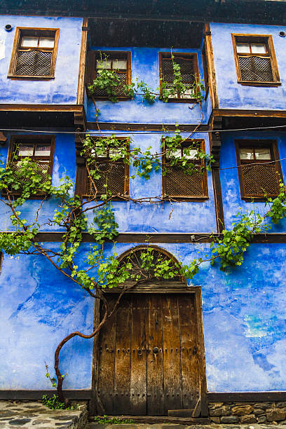 Blu casa tradizionale - foto stock