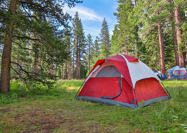 Camping Forest campsite with tents camping stock pictures, royalty-free photos & images