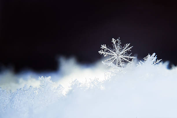 istock Snowflake photo. Macro nature photo. Winter 508407566