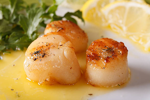 istock Grilled scallops with sauce on a plate macro. horizontal 508408354