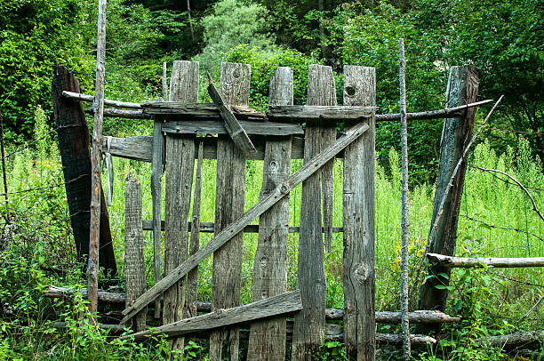 istock Old weathered grunge wooden door 508416144