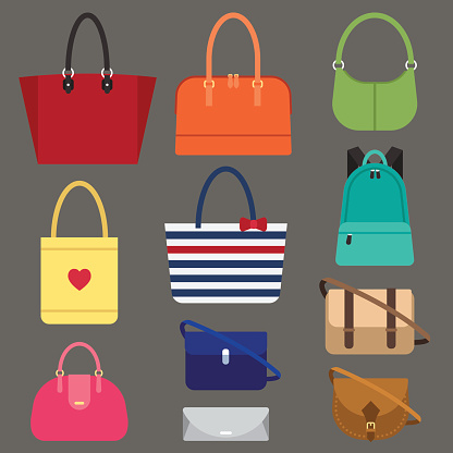 Vector various types of woman bags. Flat style.