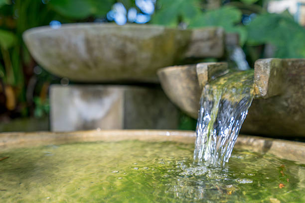 istock Tropical garden. Stone bowl with water flowing 508420074