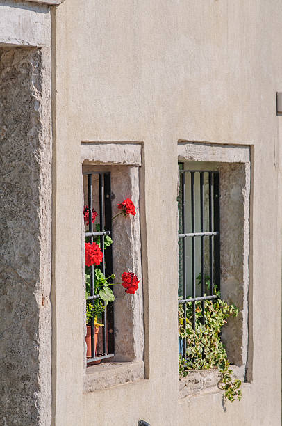 istock Flowers on windowsill and balcony in bright sunny day 508420972