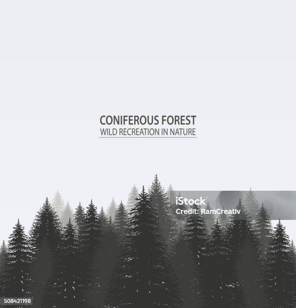 Coniferous Pine Forest Stock Illustration - Download Image Now - Forest, Fir Tree, In Silhouette