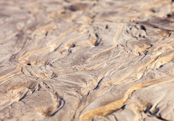 istock Sand surface with the relief formed by water currents 508422353