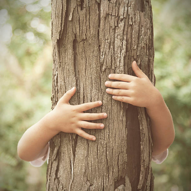 Huging a tree stock photo