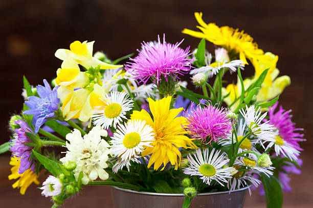 istock Colorful wild flowers 508423032