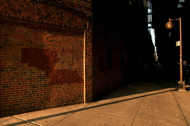 istock Shady Corner Block in Woodside Queens 508423065