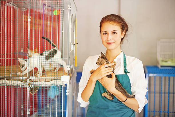 Cats shelter woman working in cats shelter sheltering photos stock pictures, royalty-free photos & images