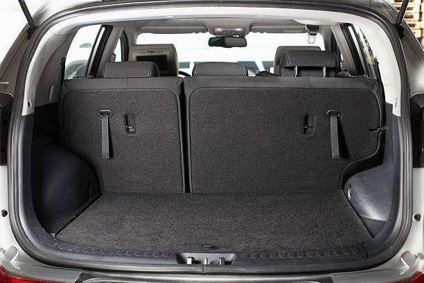 Empty trunk of the car