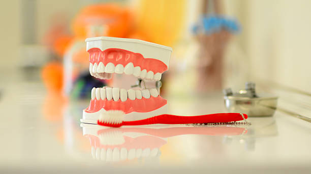 istock Brush model and tooth brush 508423889