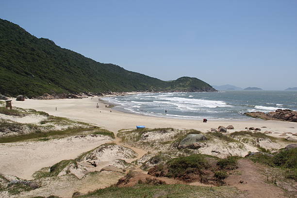 istock Beach in South Brazil 508424547