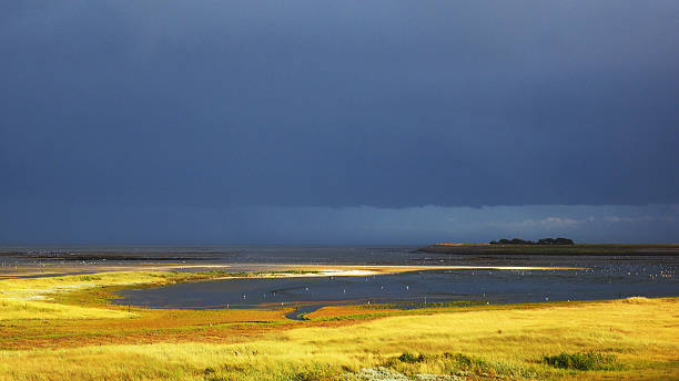 noordkaap из ваттовое остров texel, нидерланды - wadden wadden sea unesco world heritage site sea стоковые фото и изображения