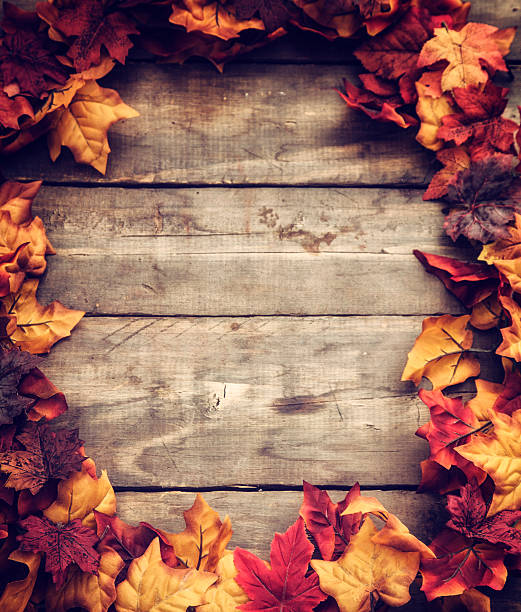 istock Autumn Decoration Background with Leafs 508427133