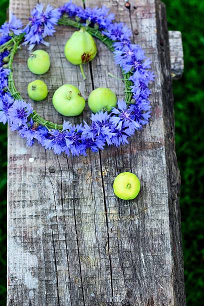 istock White wicker wreath decorated with cornflowers 508427689