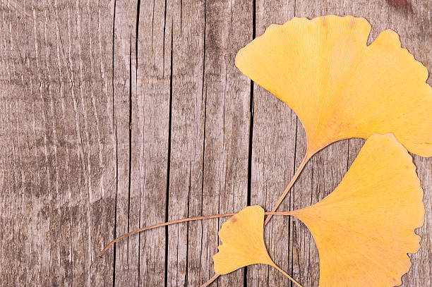 istock Autumn background of leaves over wooden surface 508441005