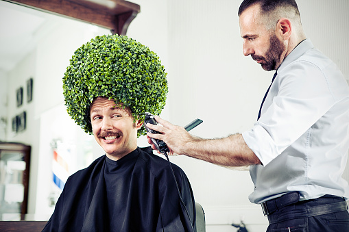 Man with grass hair receiving a hair cut