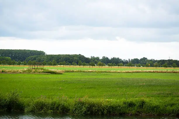 Meadows and ouskirts of Kleve at Niederrhein in North Rhine Westfalia in summer