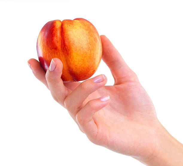 Closeup studio shot of a woman holding a nectarine isolated on white