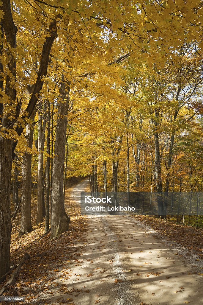 Herbst forest road - Lizenzfrei Indiana Stock-Foto