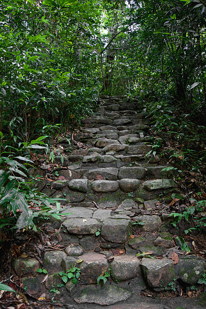 istock Stairway made from rock in forest 508445977