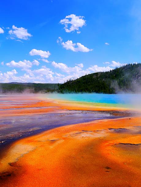 Yellowstone Paint Pots A vertical shot of the paint pots at Yellowstone. upper geyser basin stock pictures, royalty-free photos & images