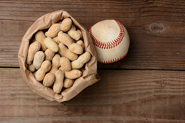 istock Baseball and a Bag of Peanuts 508446511