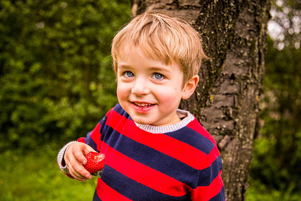 Young Boy Enjoying Strawberry
