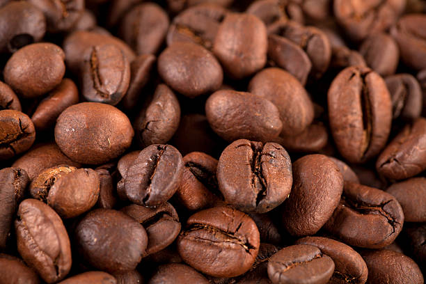 кофе в зернах - coffeetree стоковые фото и изображения