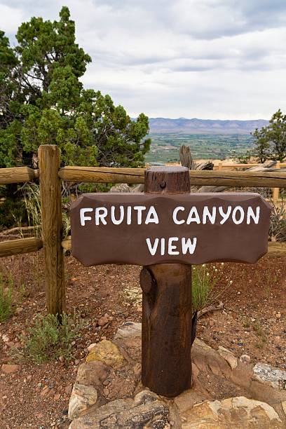 istock Fruita Canyon View, Colorado National Monument 508456080
