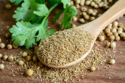 Coriander powder, Aromatic ingredients and condiment on rustic wooden table