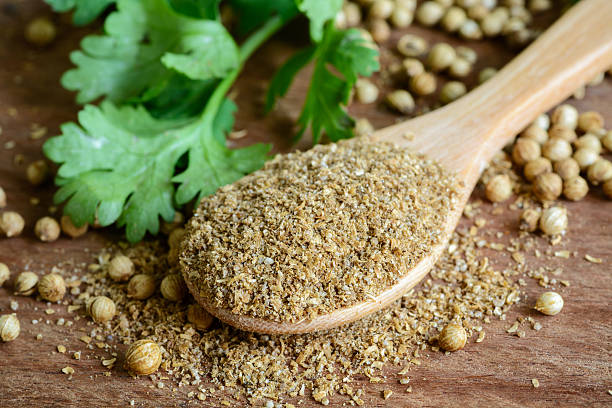 pó de coentro, ingredientes aromáticos em mesa de madeira rústica - coriander seed cilantro seed ingredient - fotografias e filmes do acervo