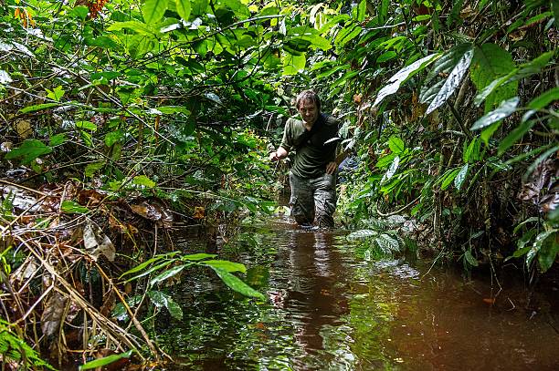 istock Photographer in the jungle goes through a bog 508458930