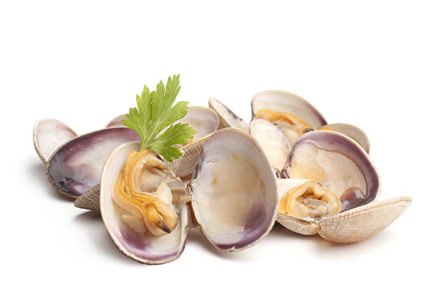 venus успокаивающий - clam стоковые фото и изображения